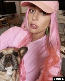En la imagen, la cantante Lady Gaga posa con "Koji", uno de sus perros. Cortesía: Instagram @ladygaga