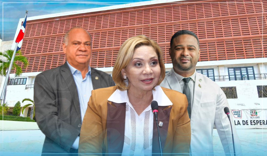 Diputados del PRM apoyan la renuncia de funcionarios con aspiraciones presidenciales