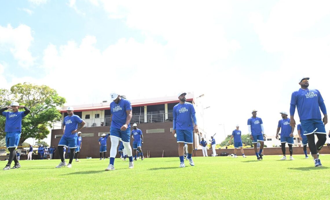 Los Tigres del Licey inician entrenamientos para la temporada 2024-25