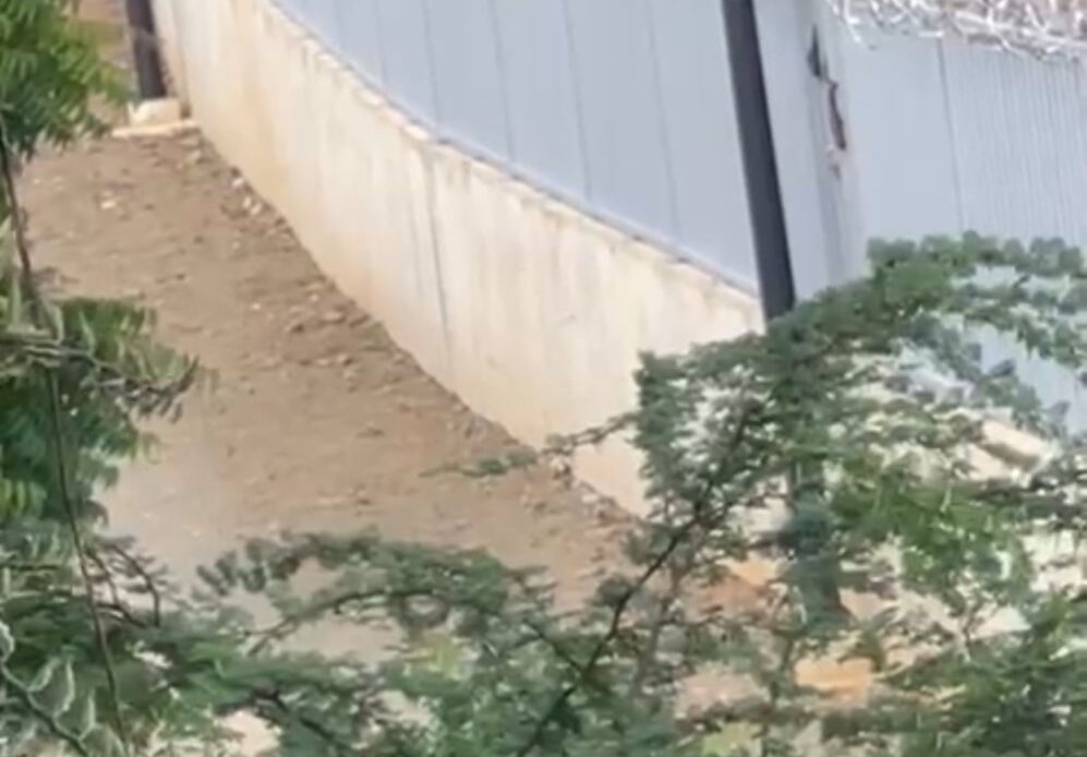 Ciudadanos Haitianos Escalan Muro Fronterizo Ante Falta de Vigilancia, Según Denuncian Residentes