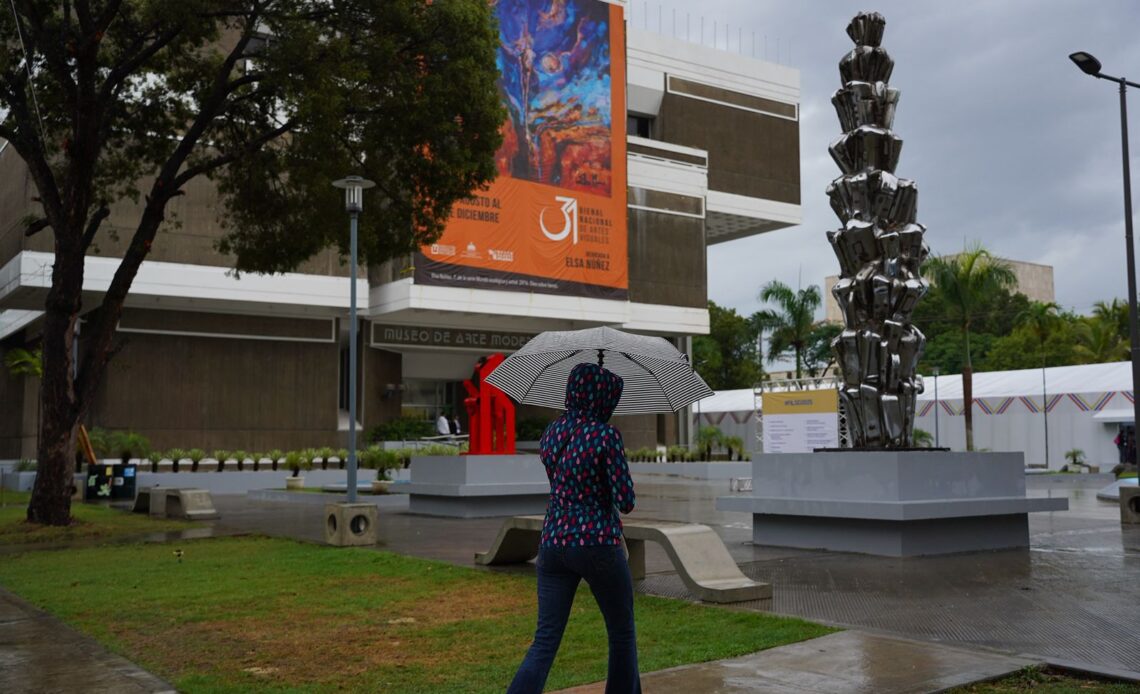 La Feria Internacional del Libro Santo Domingo 2025 Suspende Actividades del Viernes por Clima Adverso
