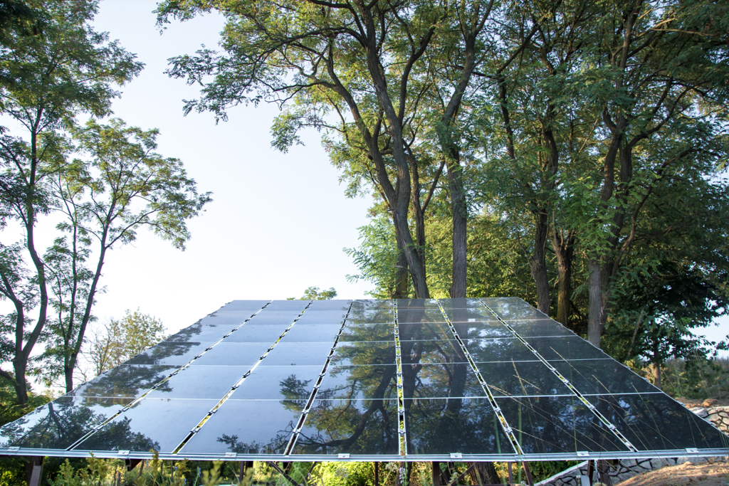 Árboles Solares: Una Solución Innovadora para la Expansión de las Energías Renovables