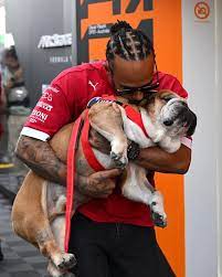 Lewis Hamilton se despide de su fiel compañero, el bulldog Roscoe
