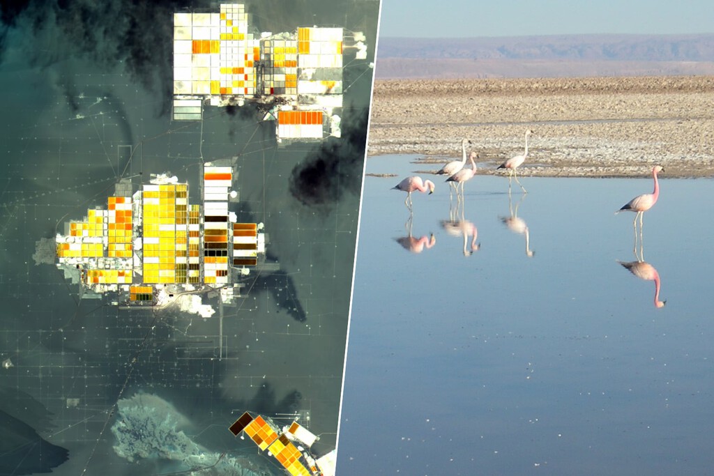 El alto costo ambiental de la descarbonización: el desierto de Atacama y la crisis del litio