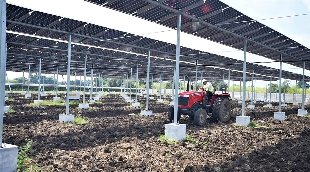 India Impulsa la Agrovoltaica: Cosechando Energía y Alimentos Simultáneamente