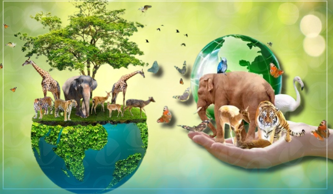 Día Mundial de los Animales: Un Llamado a la Conciencia y la Acción por su Bienestar
