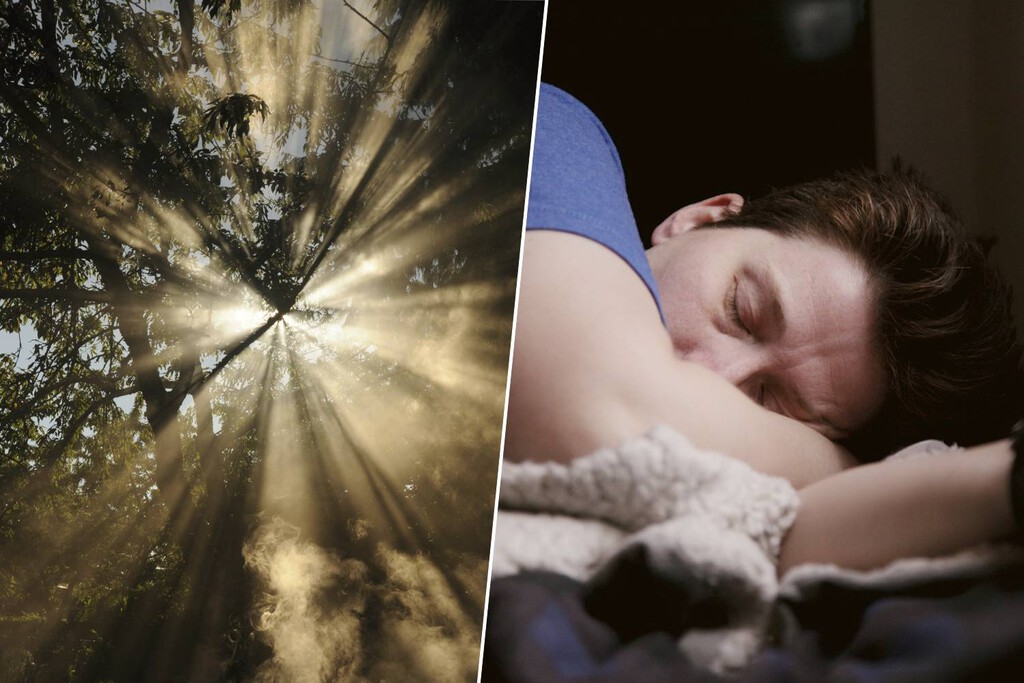 La Ciencia Reevalúa el Descanso Óptimo: La Importancia Crucial de la Luz