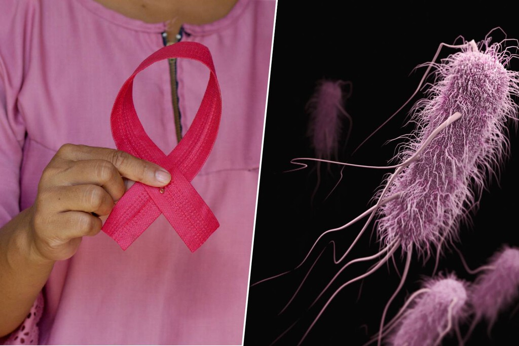 Científicos Descubren el Mecanismo por el Cual las Bacterias Combaten los Tumores