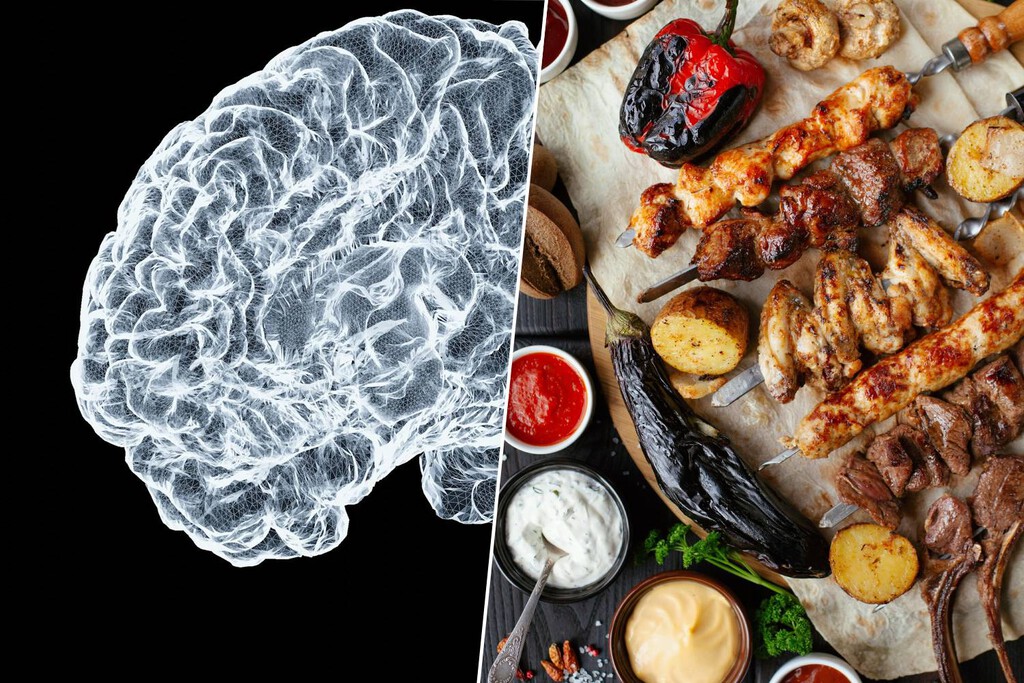 Descubren mecanismos cerebrales que influyen en el apetito: Un avance para el desarrollo de tratamientos para adelgazar