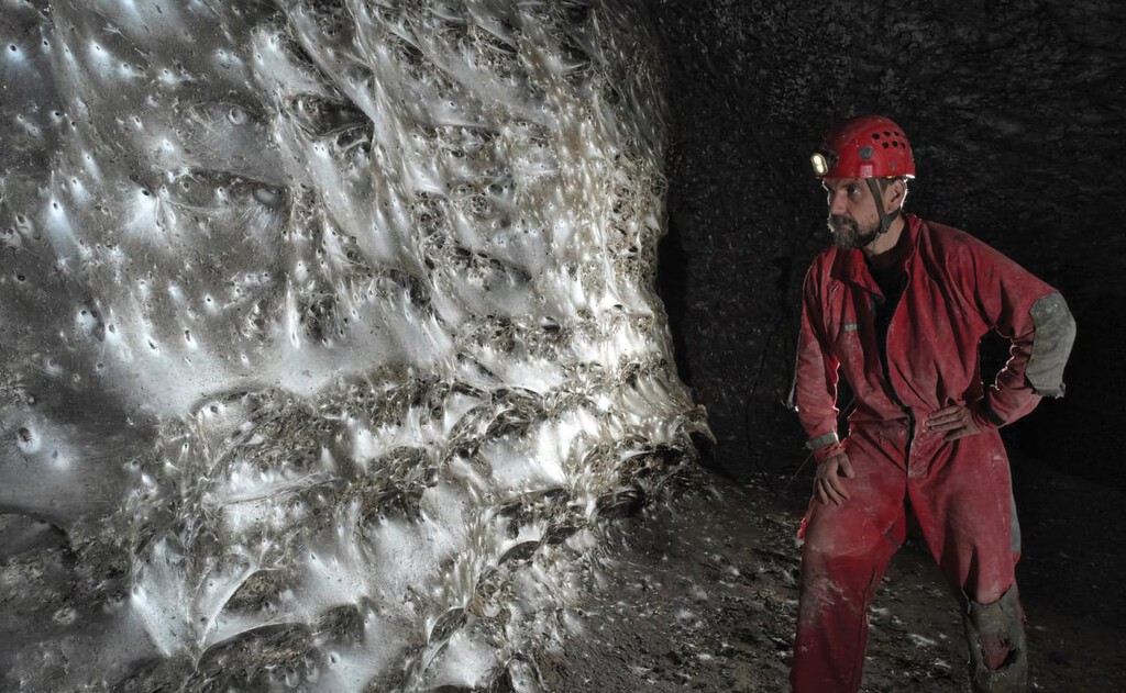 Descubren una ''Megaciudad'' de Arañas donde Especies Enemigas Coexisten en Paz