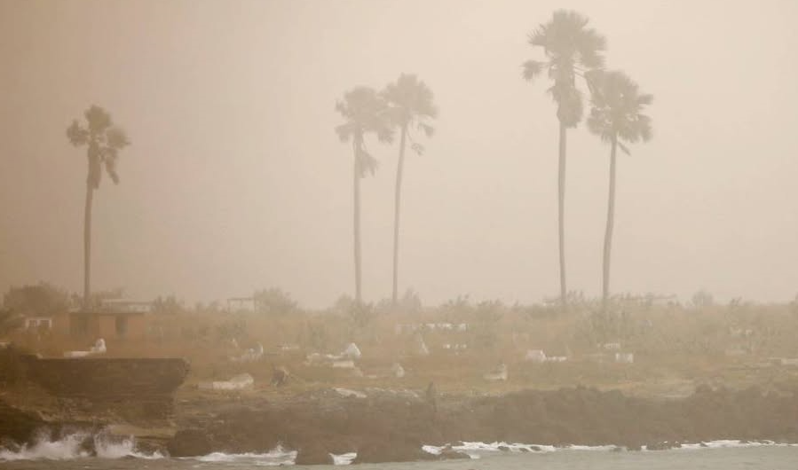 Incremento de Alergias por Polvo del Sahara: Emisión de Alerta Especial