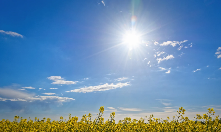 Martes Soleado con Bajas Concentraciones de Polvo del Sahara y Altas Temperaturas