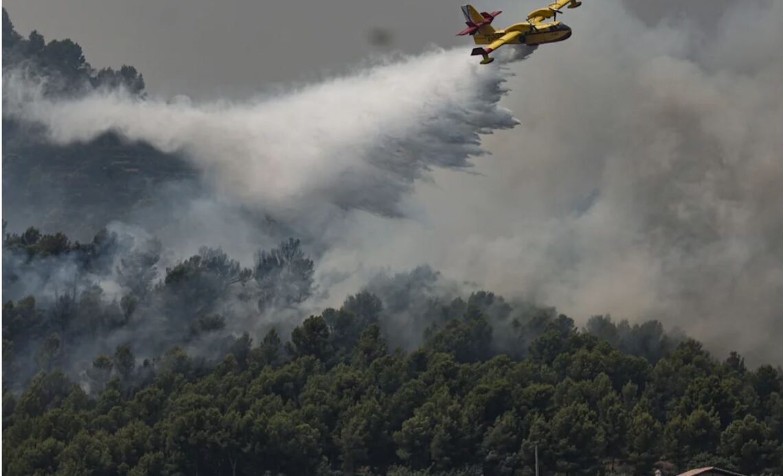 Controlado el Avance de Incendios Forestales Mayores en el Centro de España tras Consumir 77.000 Hectáreas