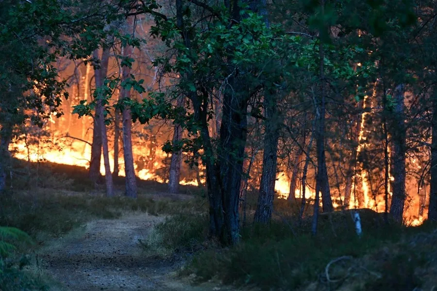 Gran Incendio Devasta el Histórico Bosque de Fontainebleau en Francia
