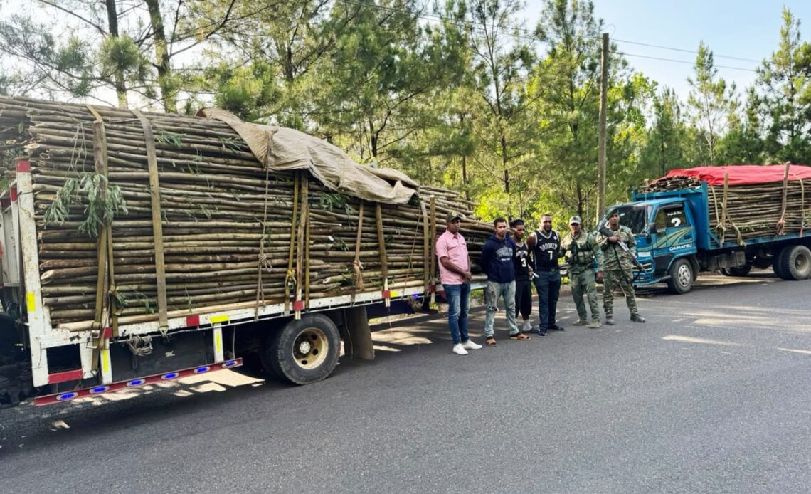 Ejército Dominicano Confisca Madera Ilegal en Santiago