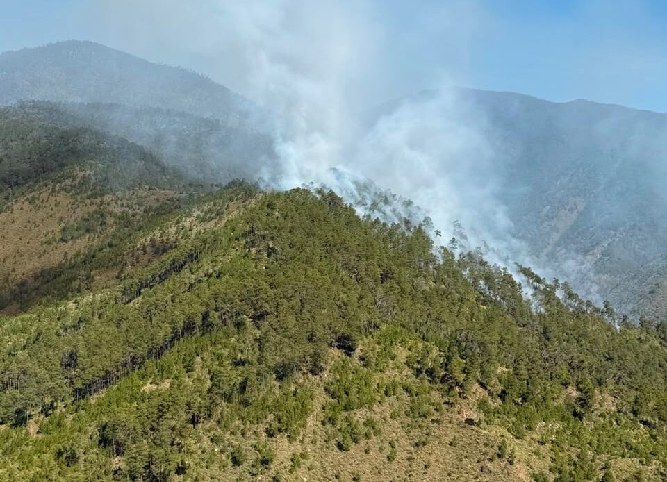 Controlado Incendio Forestal en el Valle del Tetero Gracias a Rápida Acción Interinstitucional