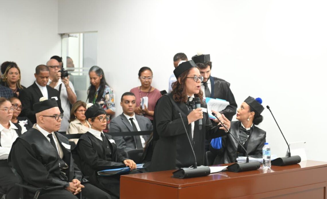 Piden al Tribunal Constitucional suprimir excepción que posibilitaría abortos sin autorización de la mujer