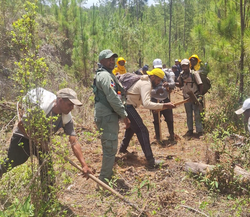 Controlado en más del 80% un incendio forestal en la Sierra de Bahoruco