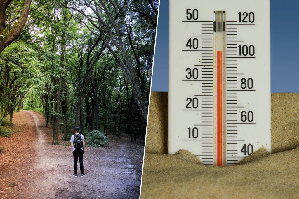 El calor nocturno afecta la toma de decisiones y el bienestar económico, especialmente en hogares con bajos ingresos