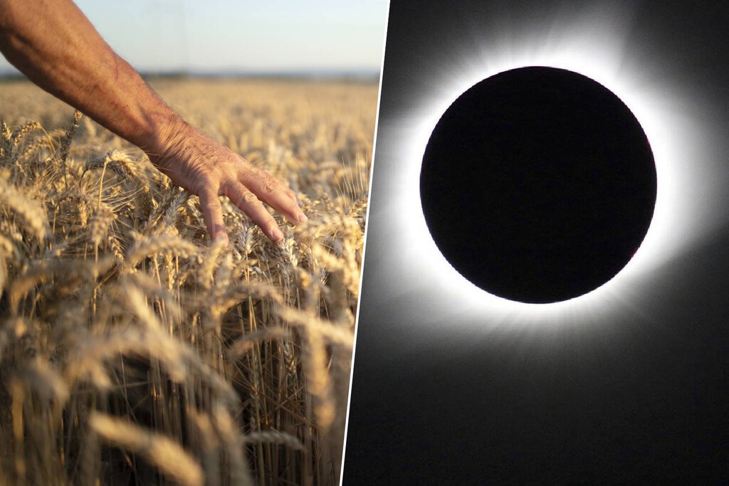 Recomendaciones para la observación del eclipse solar en entornos rurales: Petición de ingenieros agrícolas