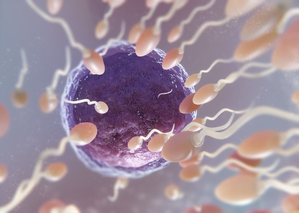 El Envejecimiento Reproductivo Masculino: Hombres Mayores de 45 Años Presentan Más Mutaciones en Espermatozoides