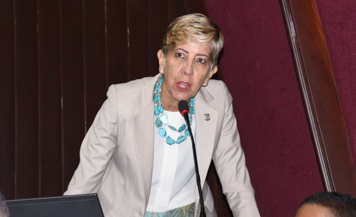 Ginette Bournigal respalda a la Policía Nacional, argumentando que un único incidente no debe desacreditarla