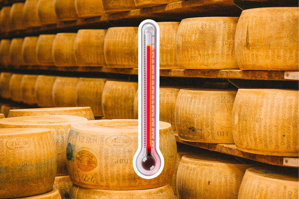 El calor extremo amenaza la producción del queso Parmigiano Reggiano en Italia