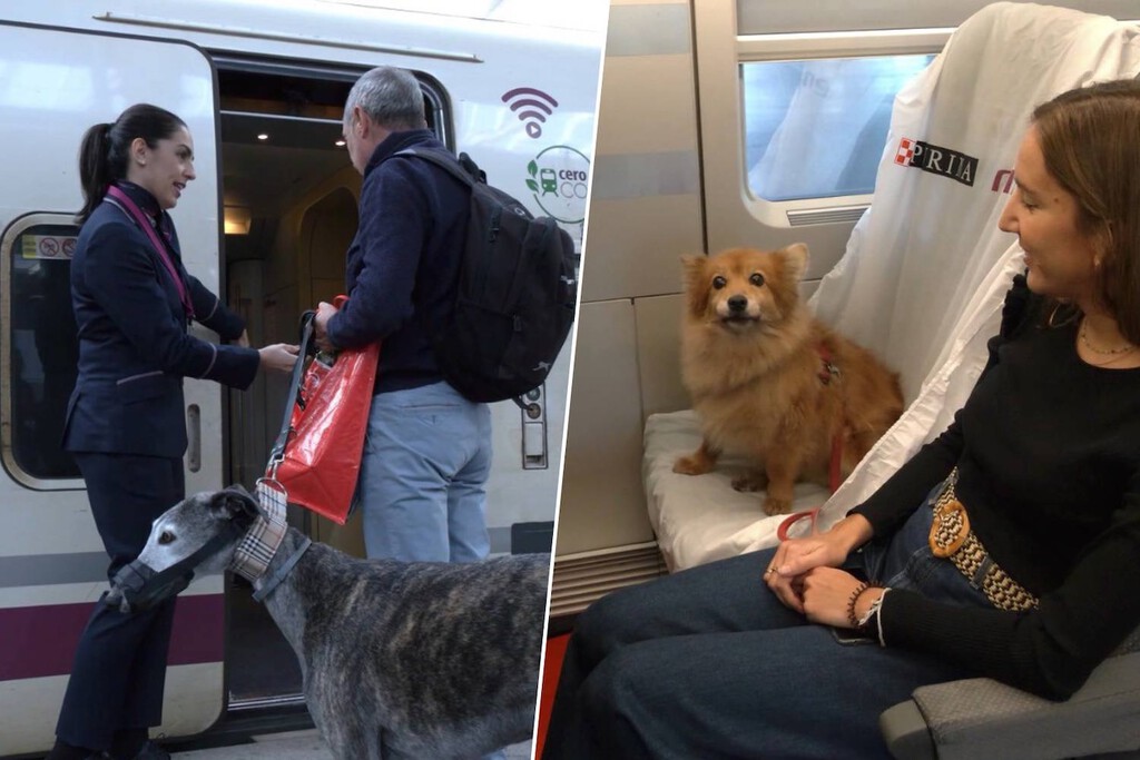 Renfe Flexibiliza Normas: Perros de Hasta 40 kg Podrán Viajar Junto a sus Dueños en el Tren