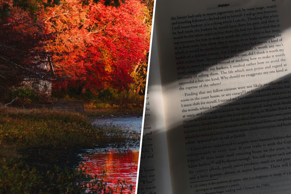 La Verdadera Lección de Henry David Thoreau: Más Allá de la Soledad en Walden
