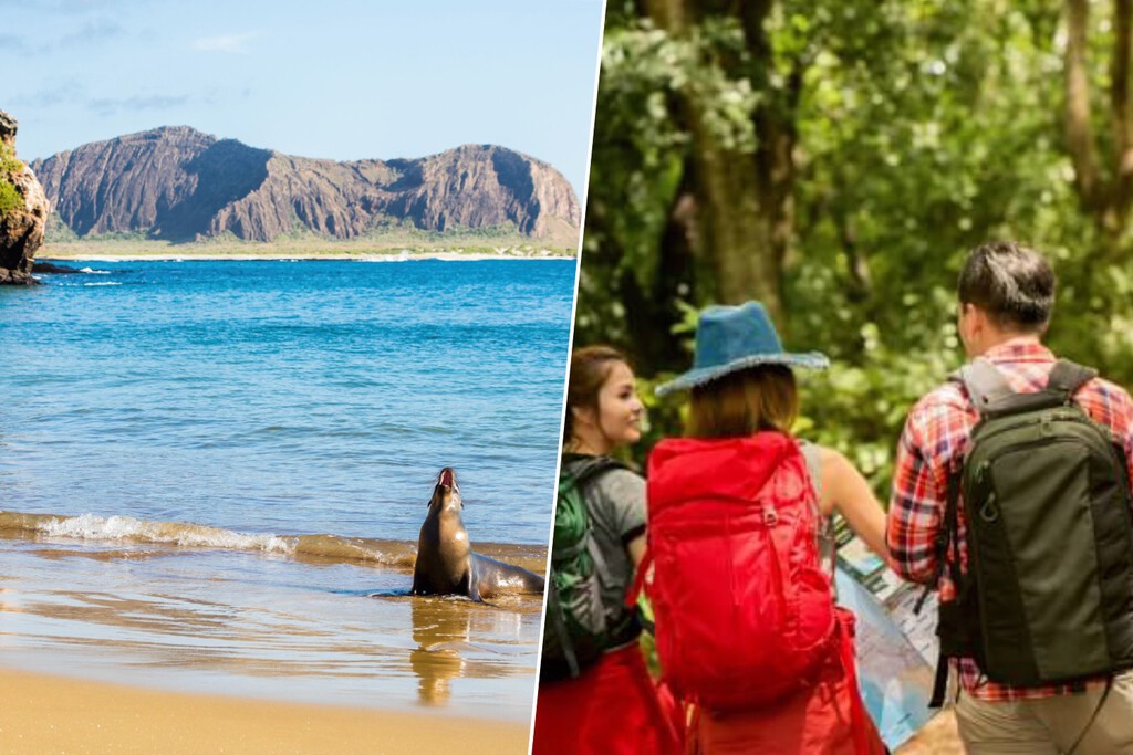 El auge de Airbnb amenaza la conservación de las Islas Galápagos