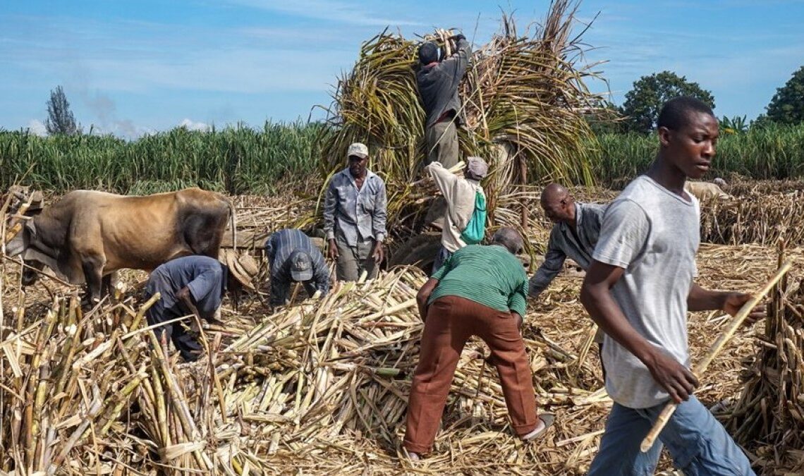 República Dominicana: El Código de Trabajo y el trabajo forzoso ante las acusaciones de Estados Unidos