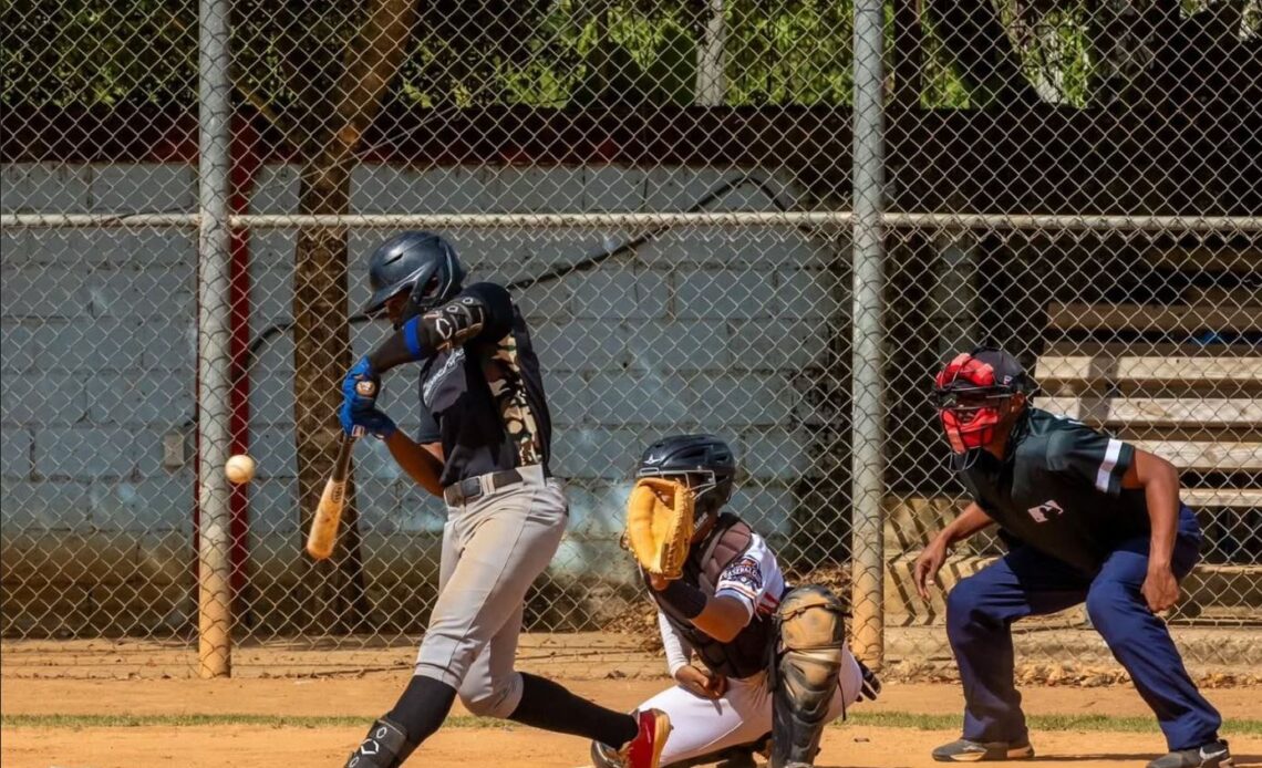 Nuevo Decreto Gubernamental Transformará la Supervisión en el Béisbol Dominicano