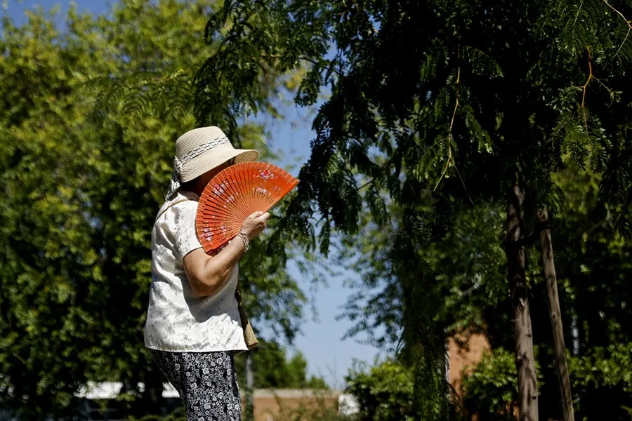 Guía de Menopausia Cuestionada por Basarse en Estudios Mascuinos Exclusivamente