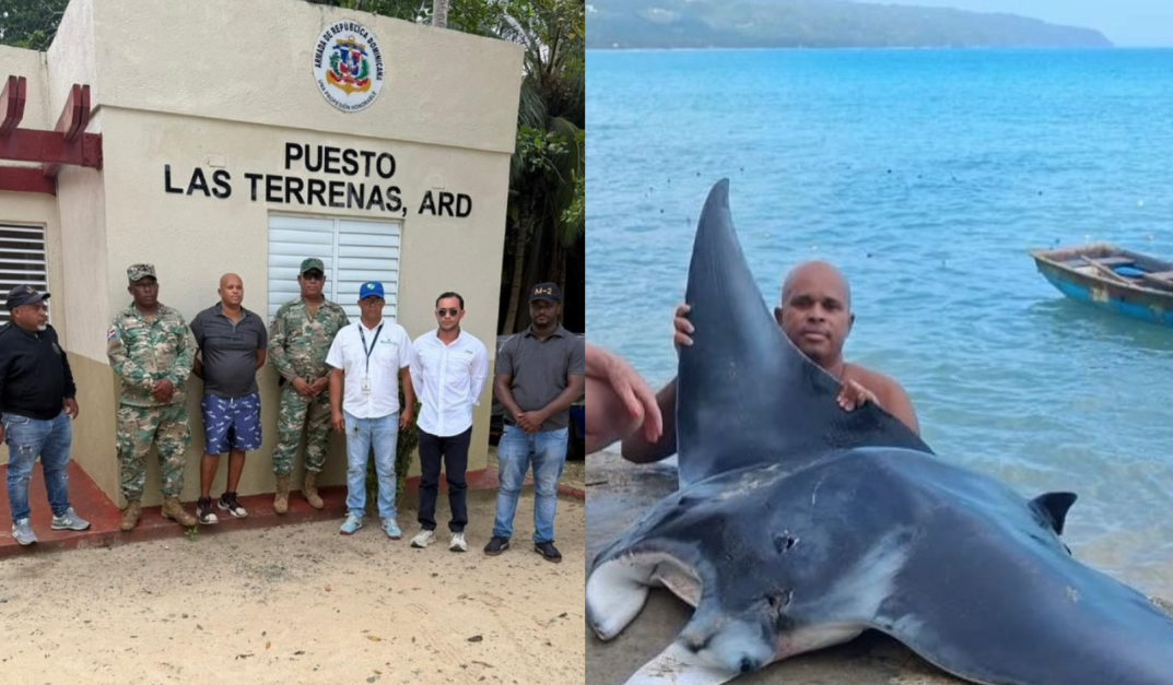 Detenido individuo por captura ilegal de mantarraya en Las Terrenas, comunica Medio Ambiente