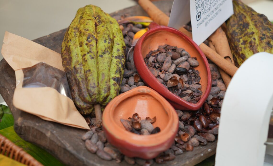 Exportaciones de Cacao Dominicano Superan los US? Millones y Serán Destacadas en el 6to Festival del Chocolate