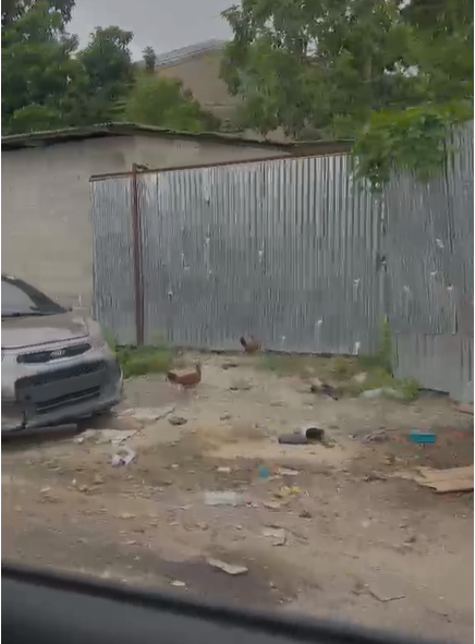 Vecinos de Las Caobas Alertan Sobre Taller Ilegal que Invade Aceras y Genera Contaminación