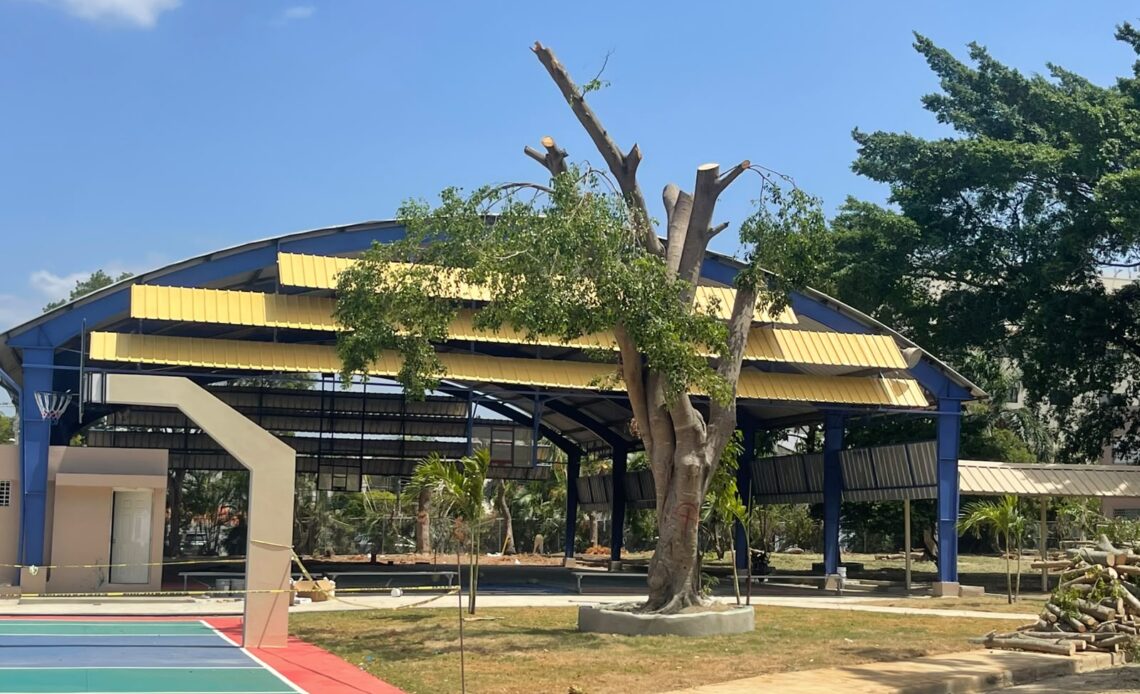 Avances Significativos en la Remodelación y Expansión del Politécnico Nuestra Señora de las Mercedes en Santiago