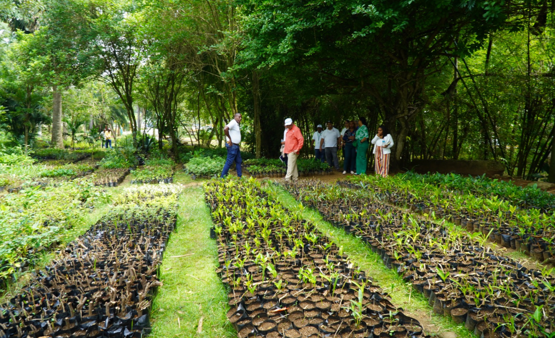 Digecac Anuncia el Primer Festival de Plantas 2026 en Santo Domingo