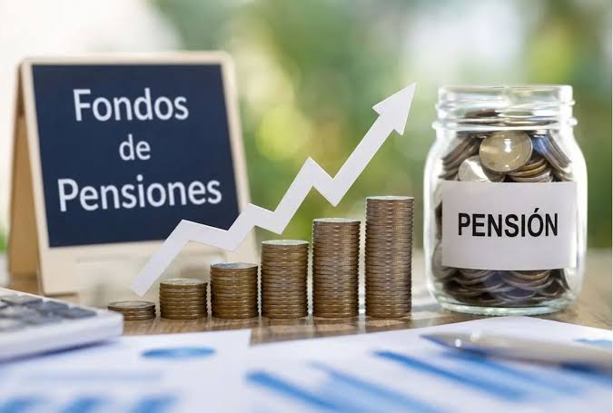 La Comisión de Riesgos Detalla el Manejo de los Fondos de Pensiones al Invertir