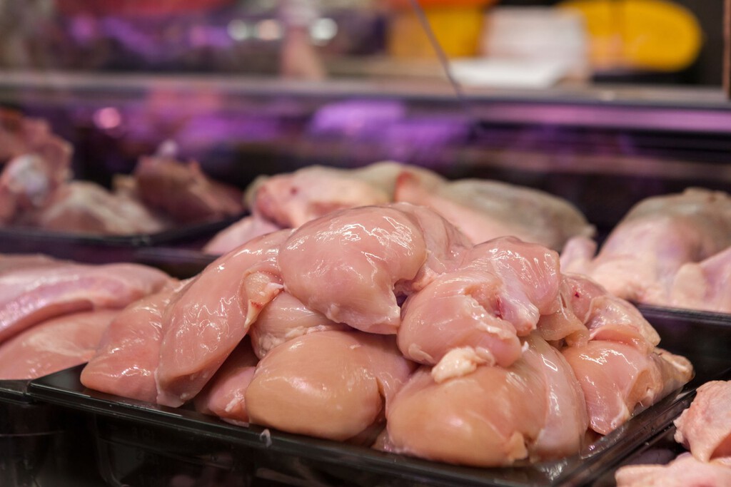 El Color del Pollo: Desmitificando las Creencias sobre el Tono Amarillo y su Relación con la Calidad