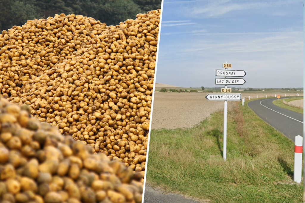 Un agricultor francés regala 500 toneladas de patatas para evitar su desperdicio