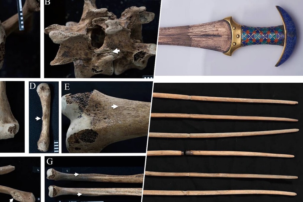 Princesas del Antiguo Egipto: Evidencia Ósea Sugiere Uso Real de Armas, Desafiando Interpretaciones Tradicionales