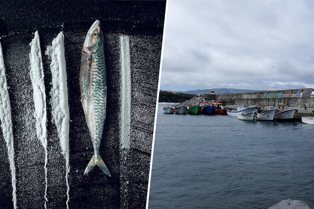 La ''Isla Blanca'' de las Azores: Cómo una Marea de Cocaína Cambió para Siempre un Pueblo Pesquero