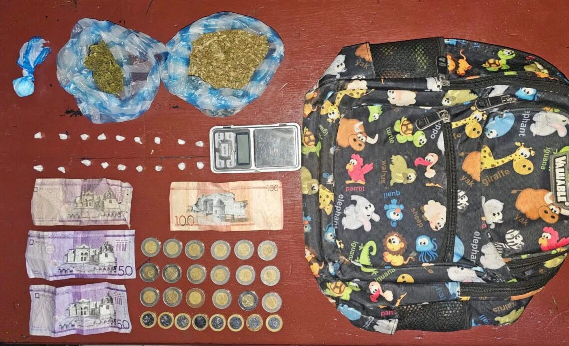 Cuatro Detenidos y Materiales Ilícitos Incautados en Operaciones Policiales en Peravia y San Cristóbal