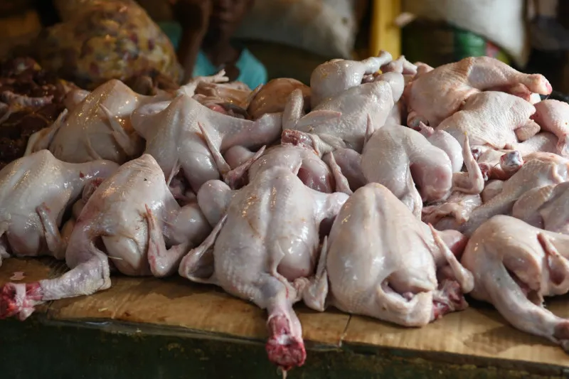 Productores Avícolas Dominicanos Solicitan Intervención Gubernamental Ante Disparidad de Precios: Pollo Barato en Granja, Caro a