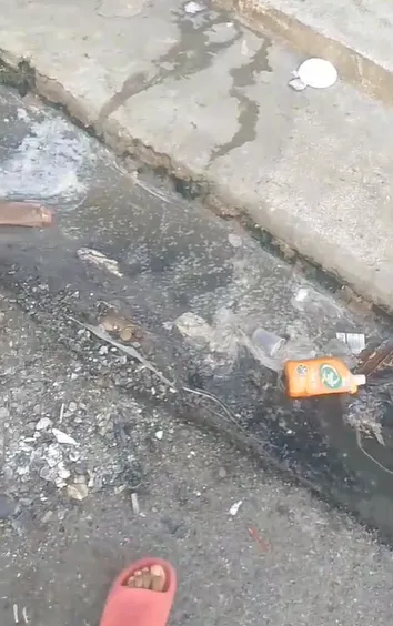 Ciudadano Reporta Graves Problemas de Saneamiento y Deterioro Estructural en el Mercado de Los Mina