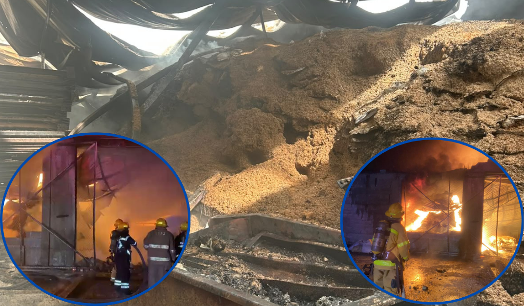 Controlan siniestro en planta procesadora de aceite de coco en San Cristóbal sin lesionados ni daños residenciales