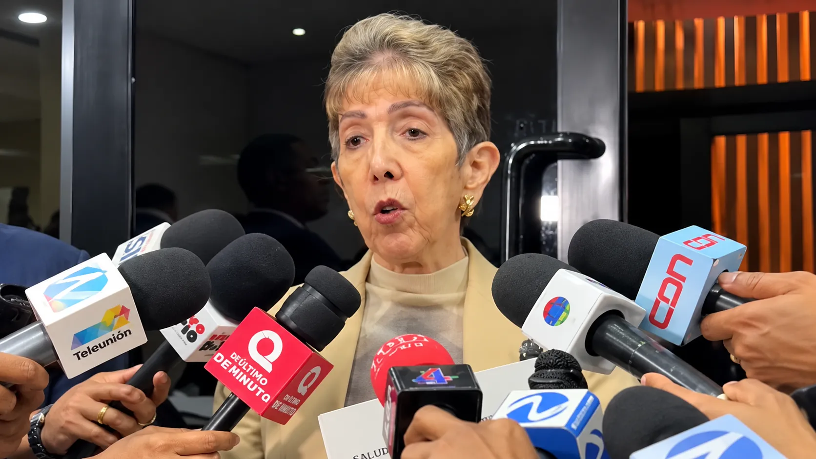 Senadora Bournigal Defiende Seguridad Fronteriza y Urge Control de Pandillas en Haití