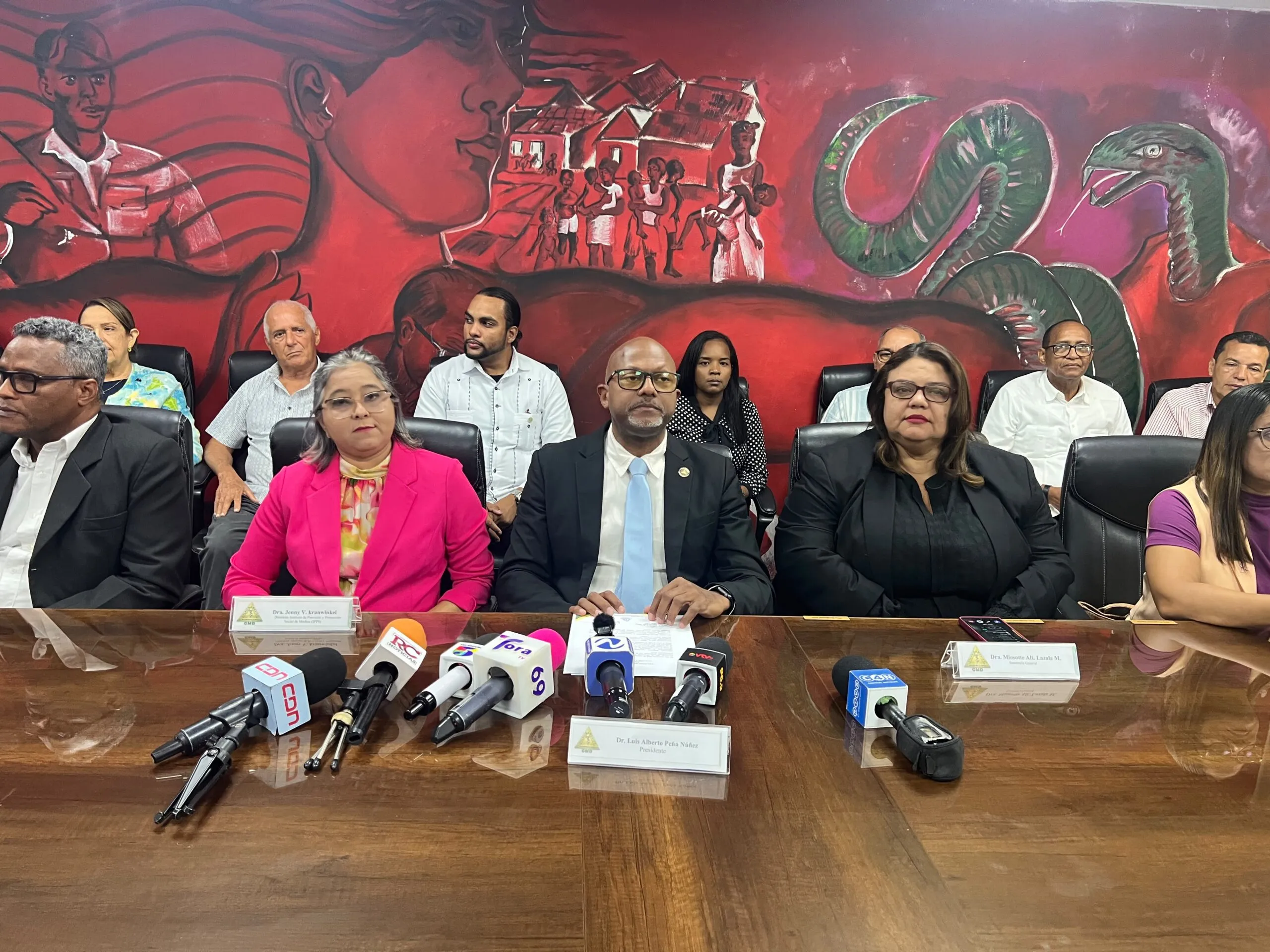 Colegio Médico Dominicano Acusa a Excontador de Apropiación Ilícita de Fondos en el IPPS por Más de 64 Millones