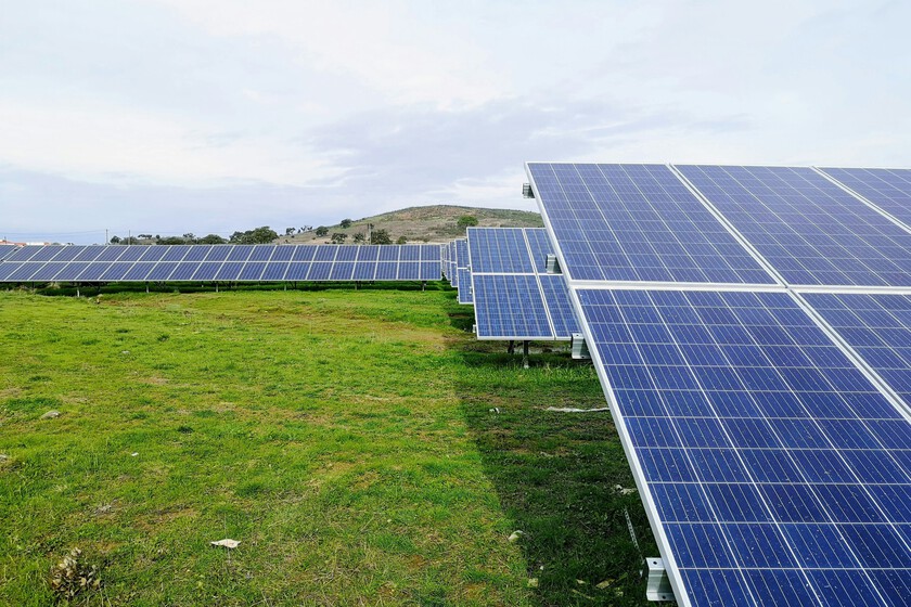 Precios Cero en el Mercado Eléctrico: Un Desafío para la Rentabilidad y Futuras Inversiones en Energías Renovables